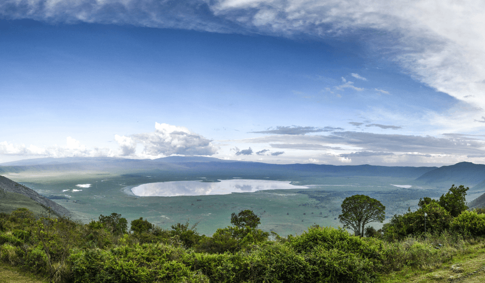 Ngorongoro
