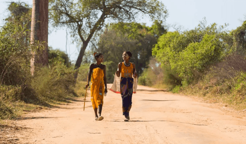 Die beste Reisezeit für Madagaskar