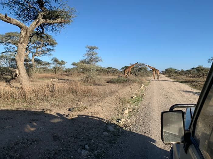 Serengeti Tanzania