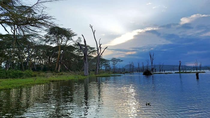 xken 85086 Kenya lake naivasha