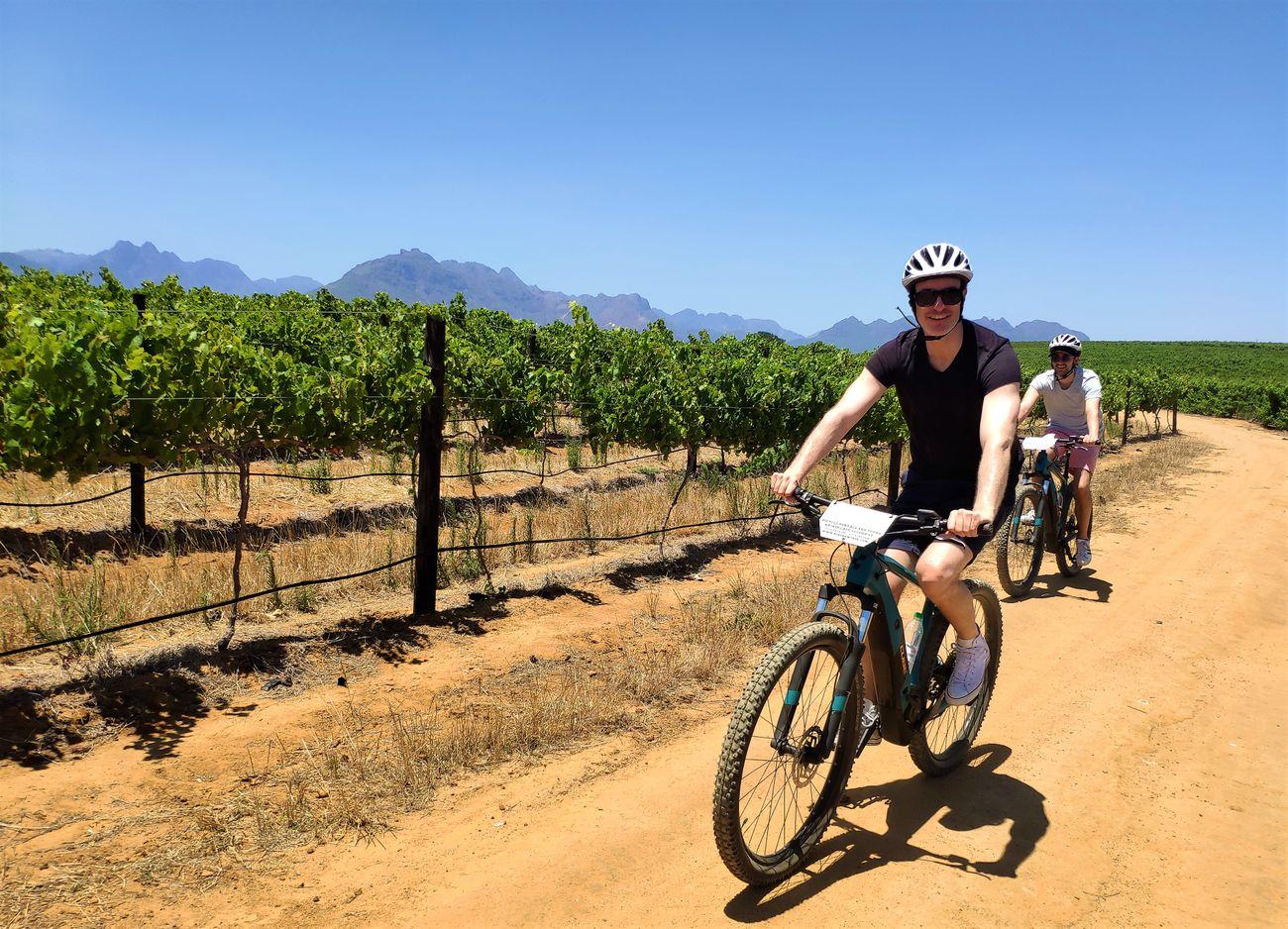 Cape Winelands Bikes 'n Wines Tours