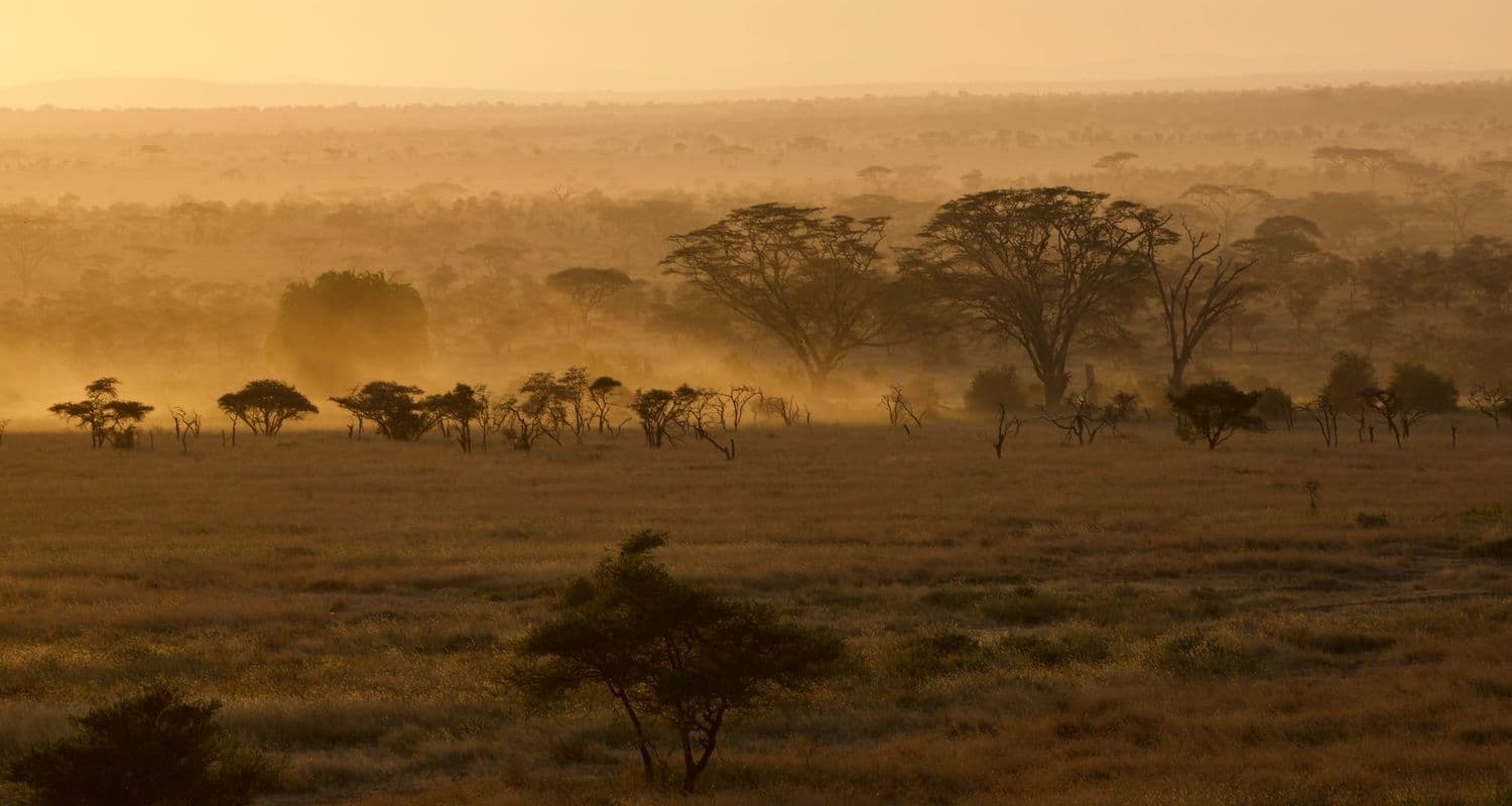 Serengeti Tanzania