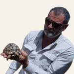 TC DE NA Steven Mark Louw