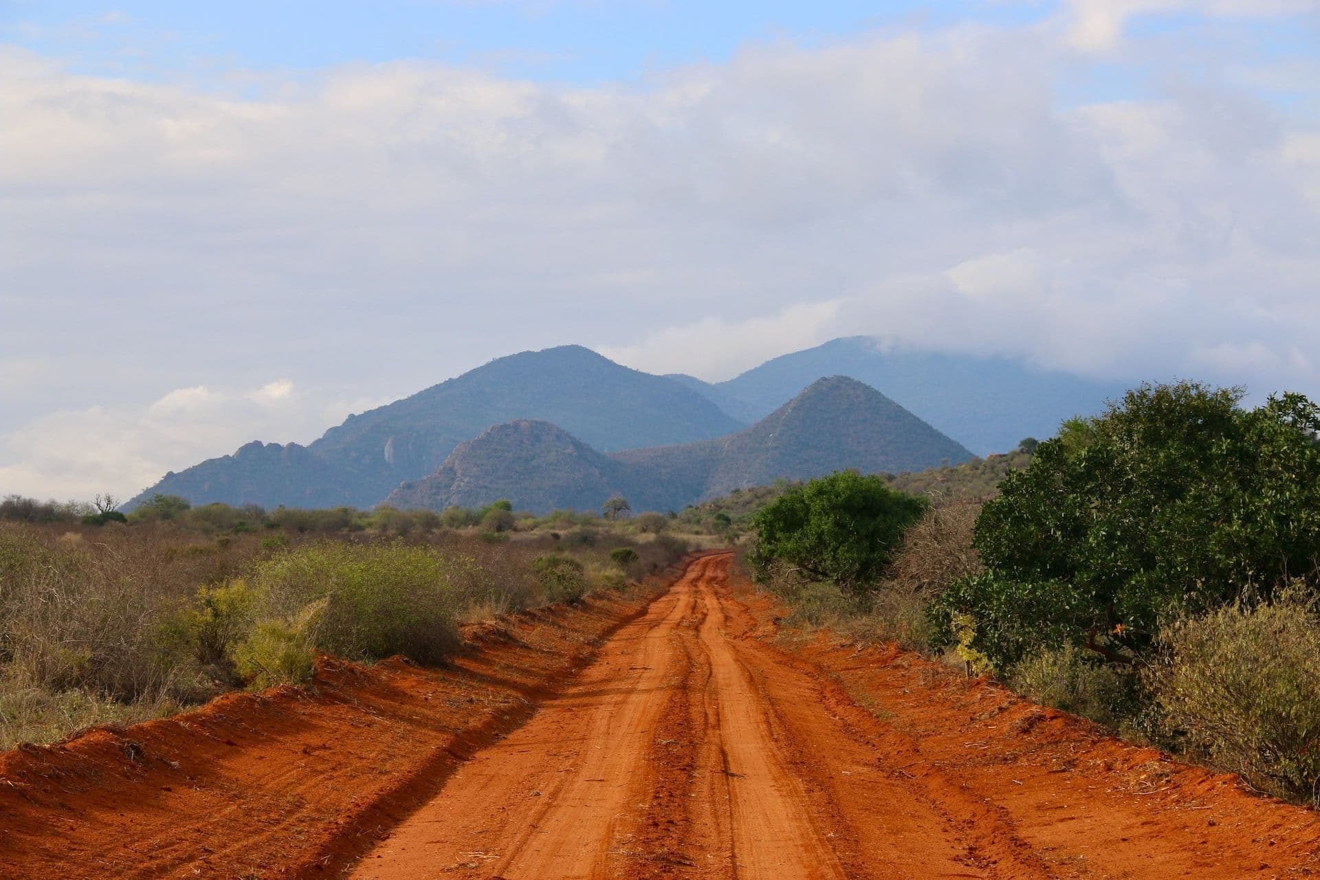 Tsavo