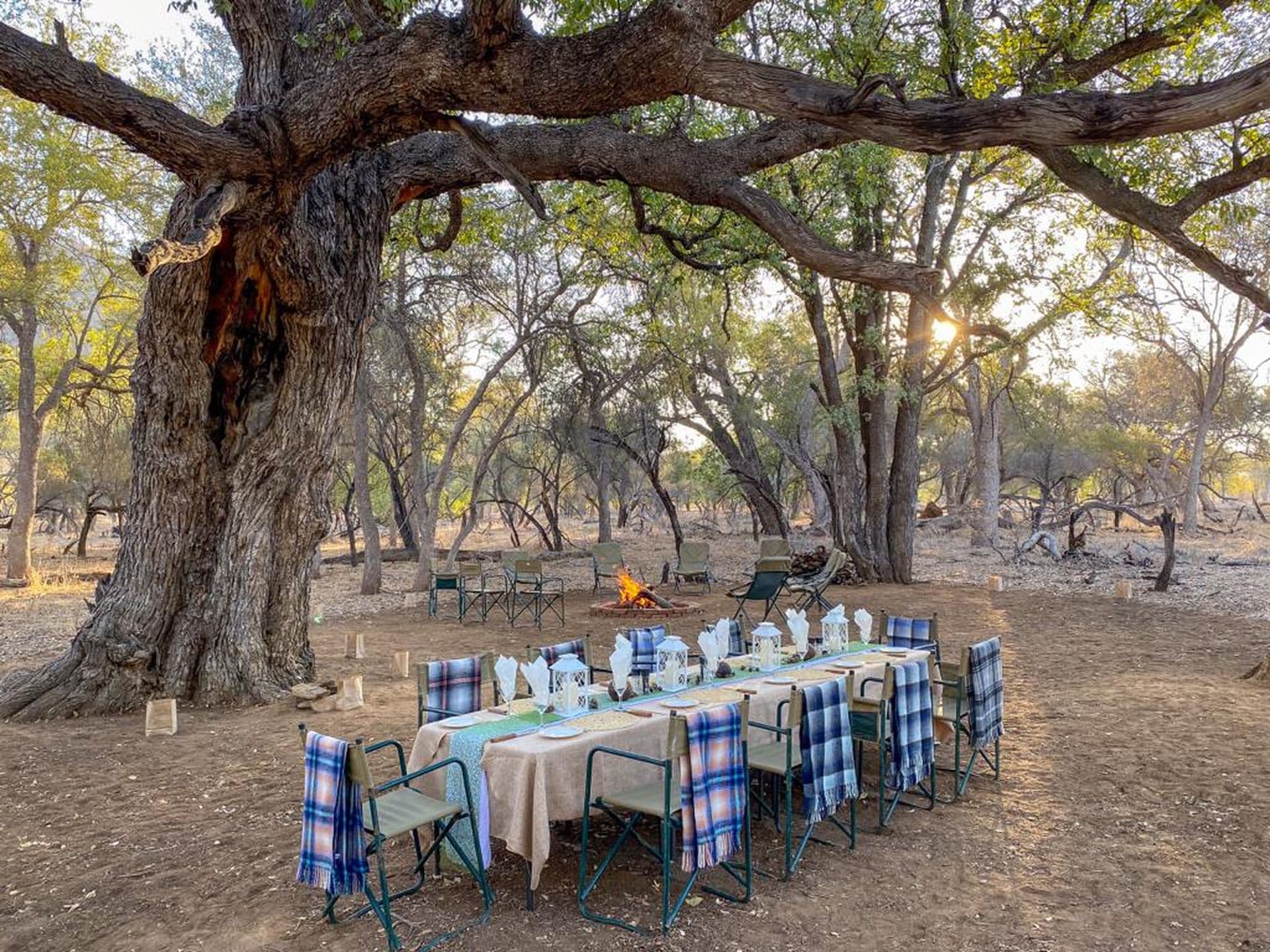 Ondundu Bush Dinner