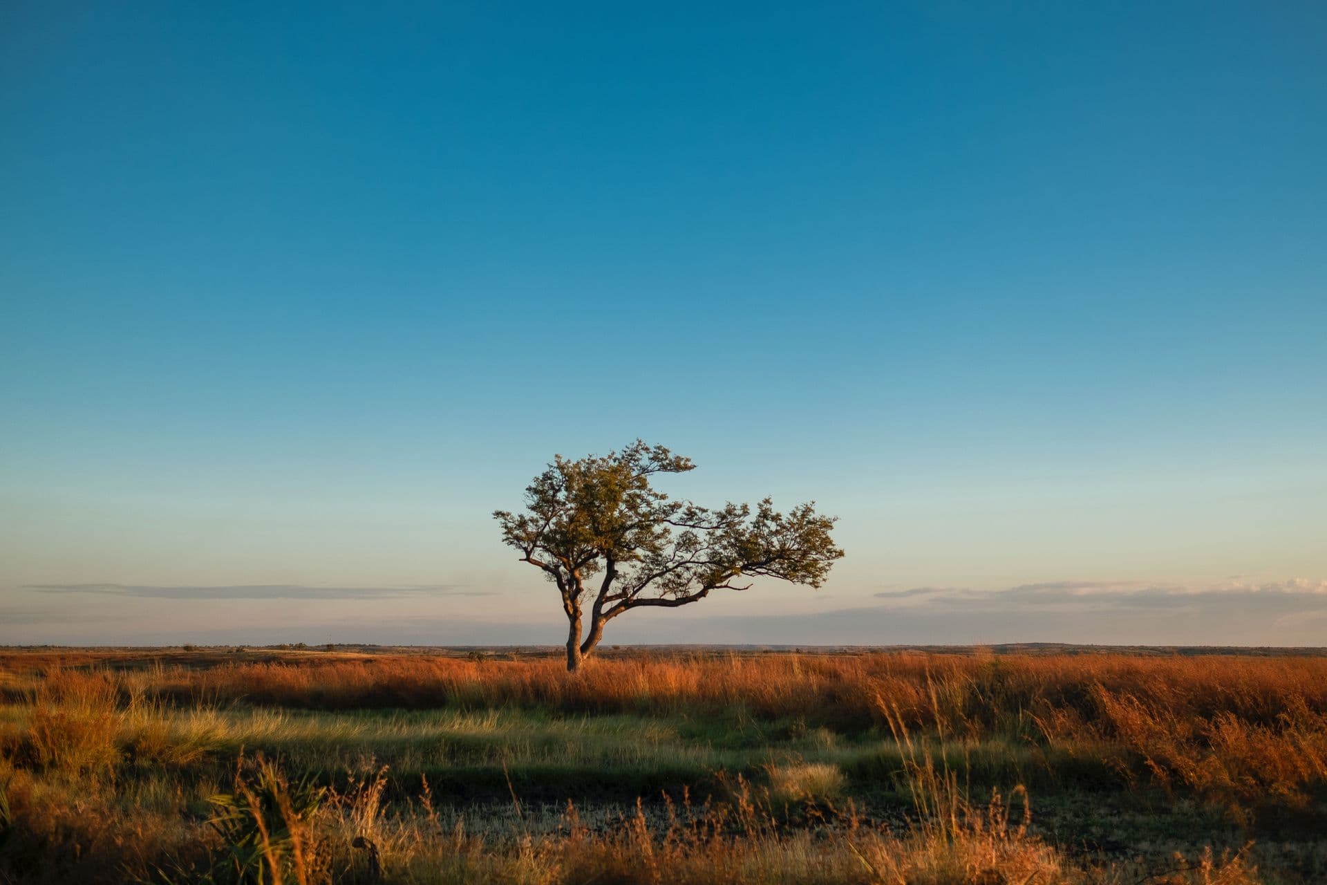 Madagascar landscapes