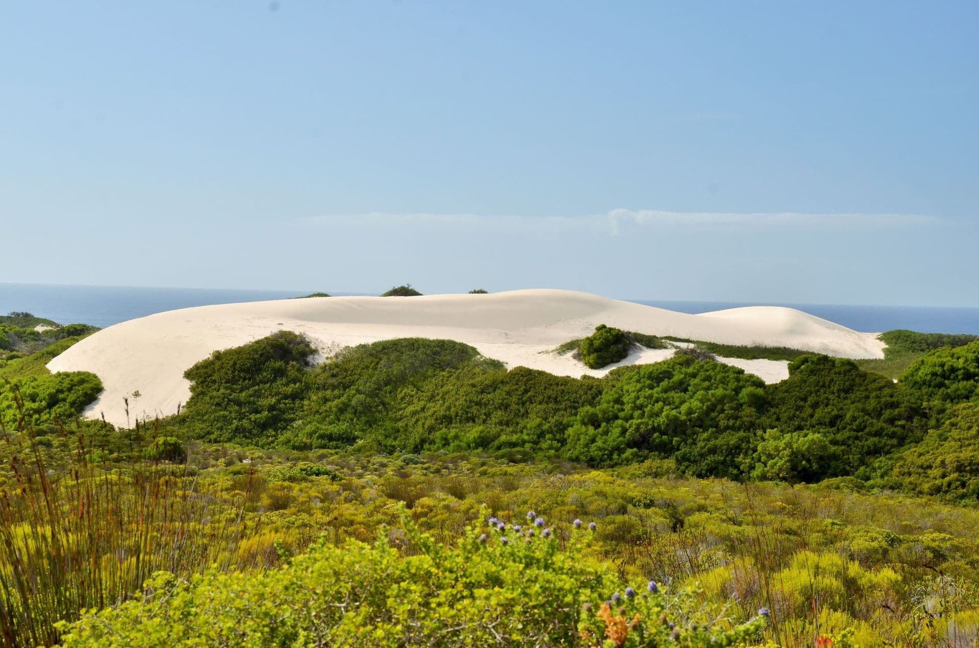 De Hoop Nature Reserve