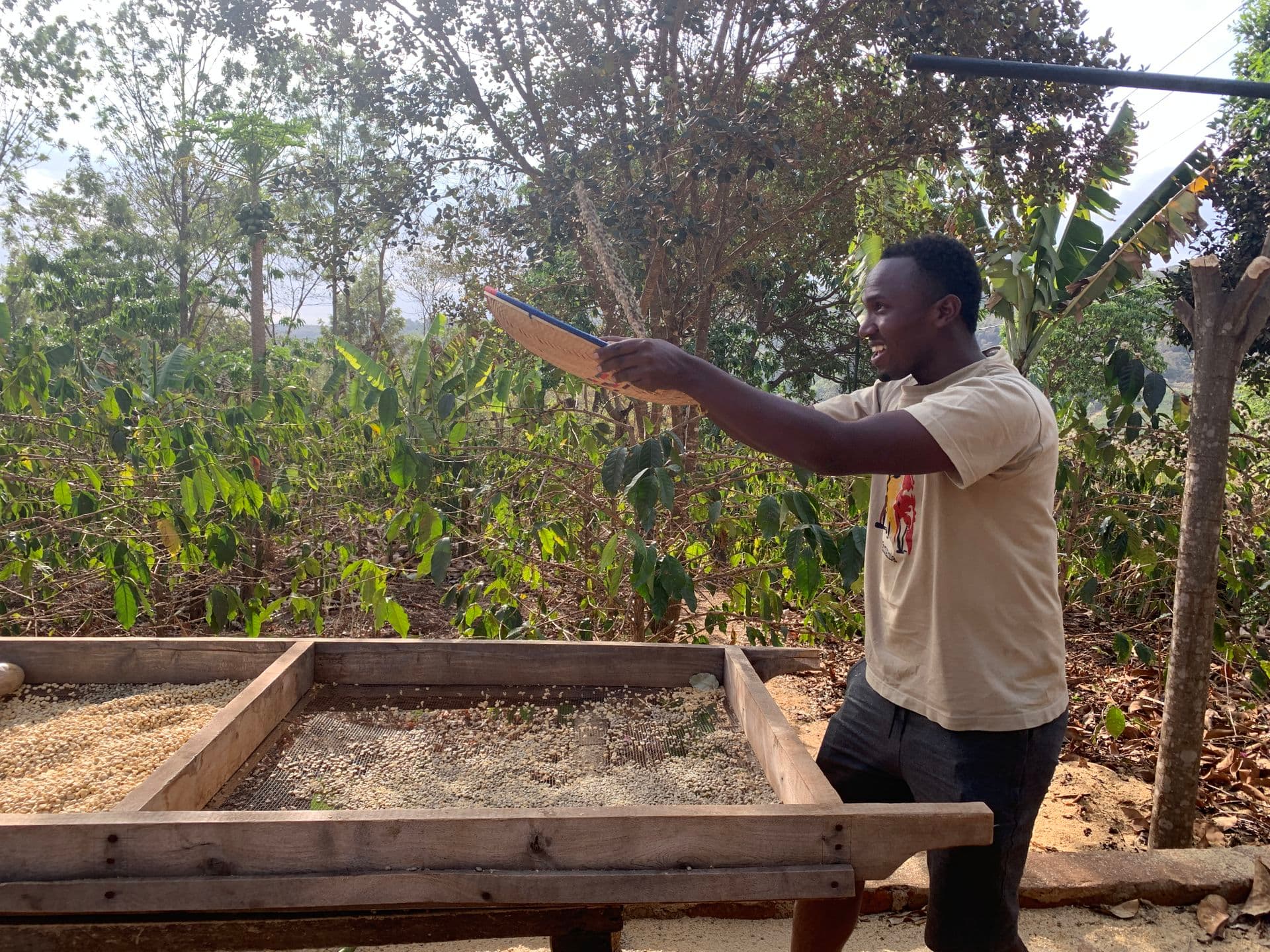 Coffee plantation Karatu