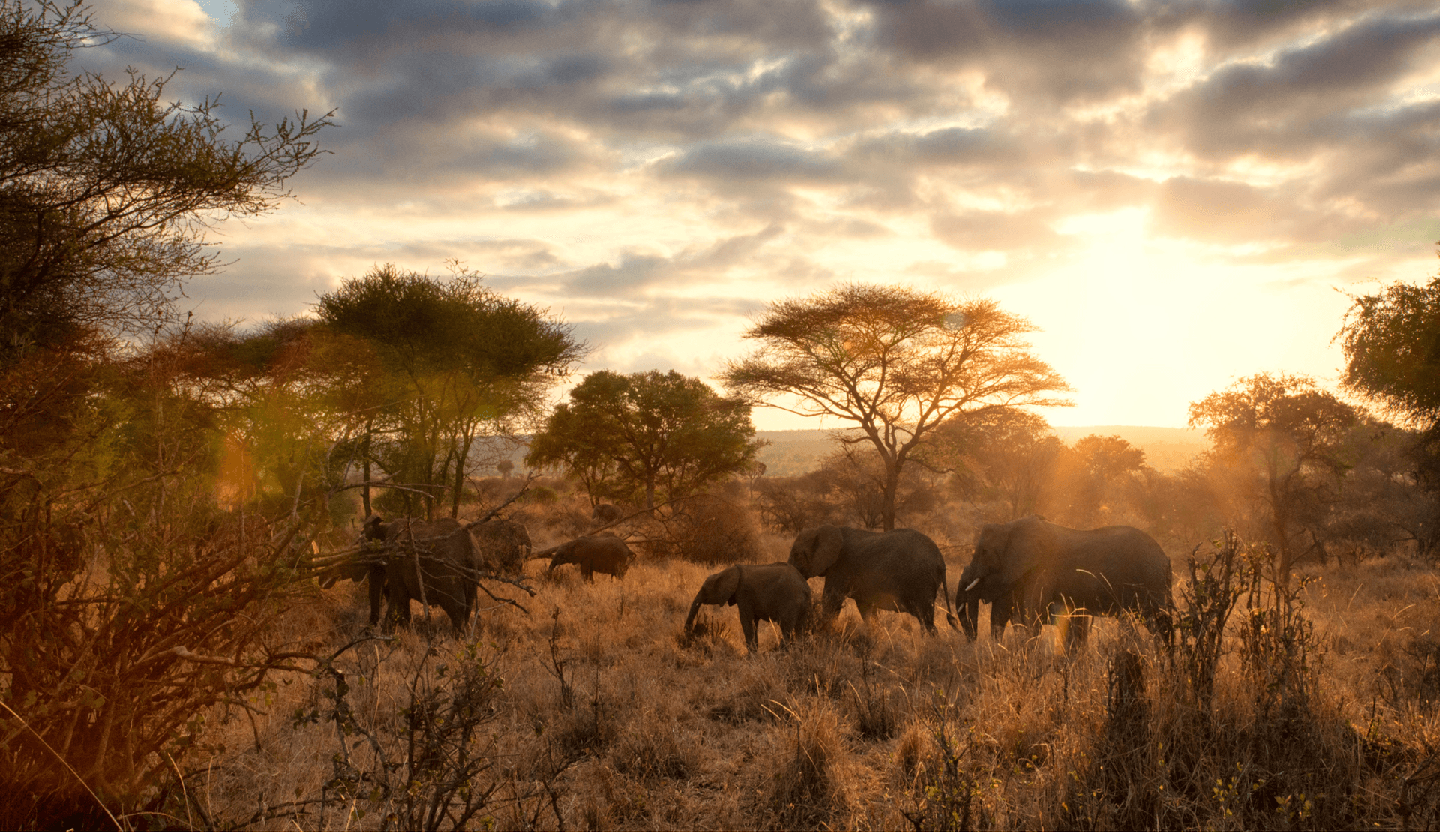 Reisetipps: die wichtigsten Tansania Sehenswürdigkeiten