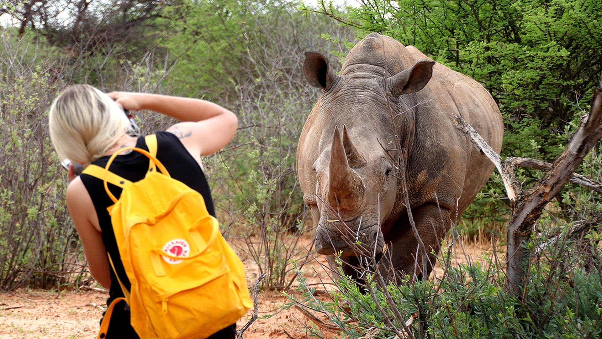 Waterberg Wilderness Waterberg Valley Lodge