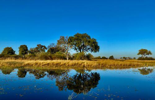 Okavango Pan Handle Botswana