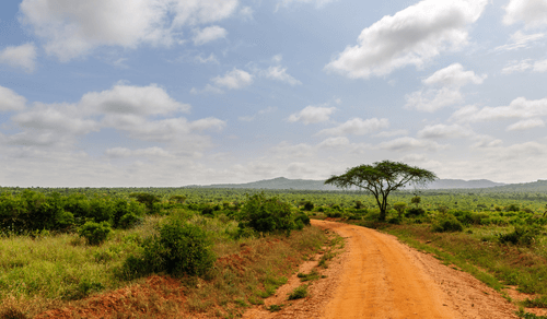 Die ultimative Afrika-Wunschliste: 15 einmalige Erlebnisse