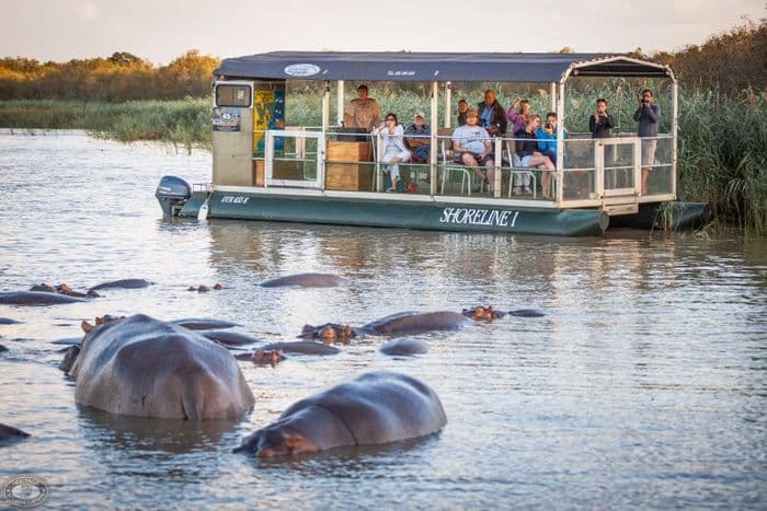 shoreline boat safari st lucia isimangaliso