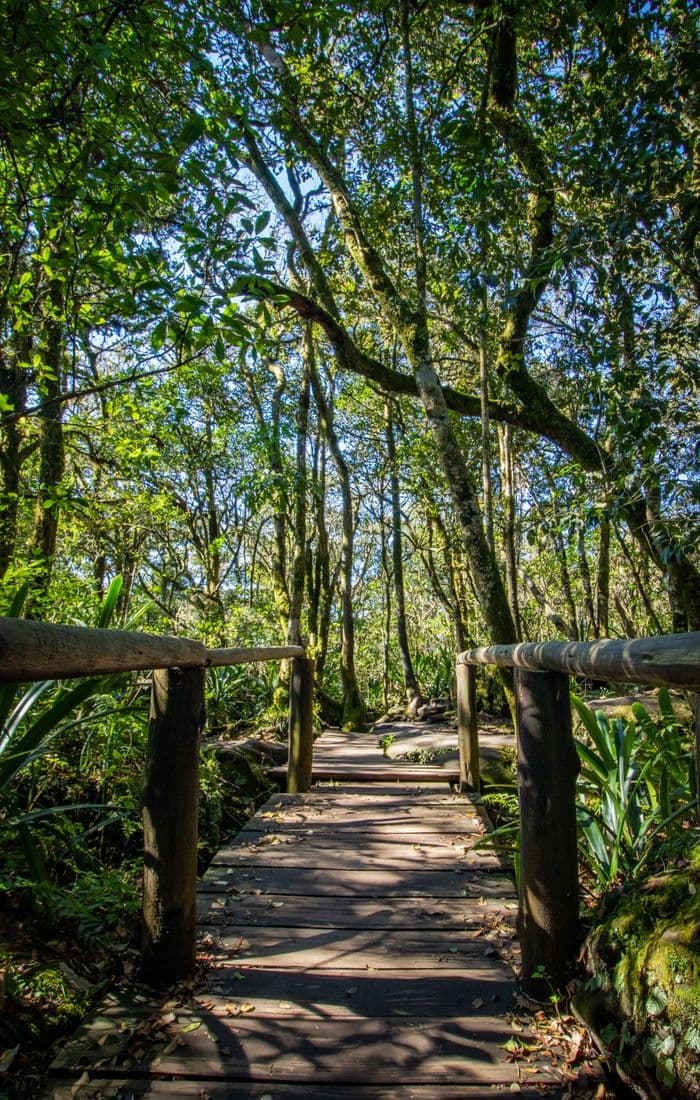 Panorama Route, South Africa