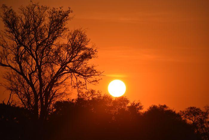 Sunset Khwai Botswana