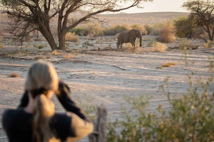 Brandberg, Damaraland