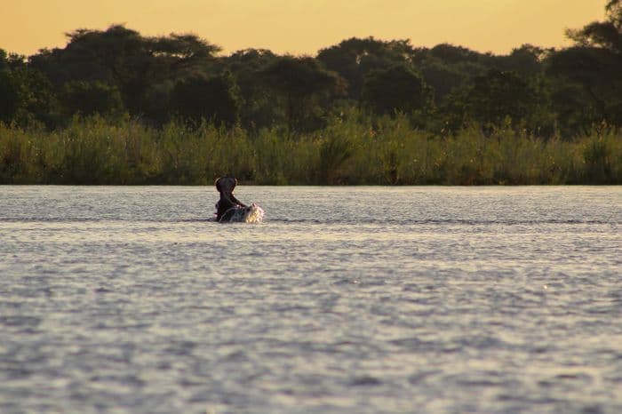 Zambezi