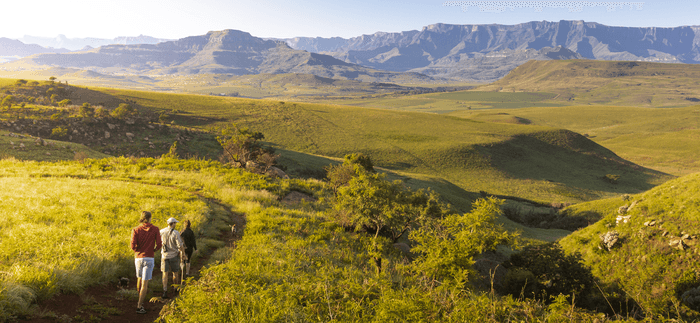 Northern Drakensberg Berghouse & Cottages