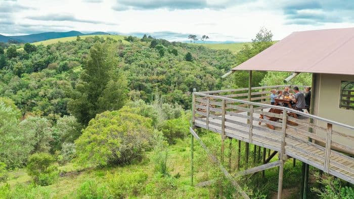 AfriCamps at Ingwe Plettenberg Bay Garden Route South Africa