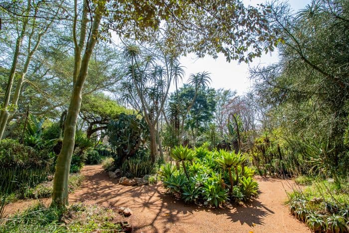 Malandela's, Malkerns, eSwatini