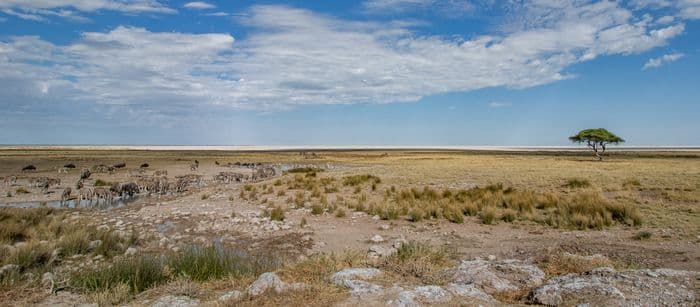 Etosha National Park Namibia