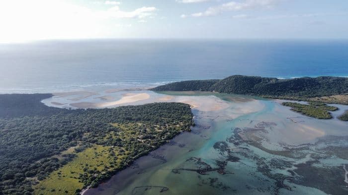 iSimangaliso Wetland Park Estuary