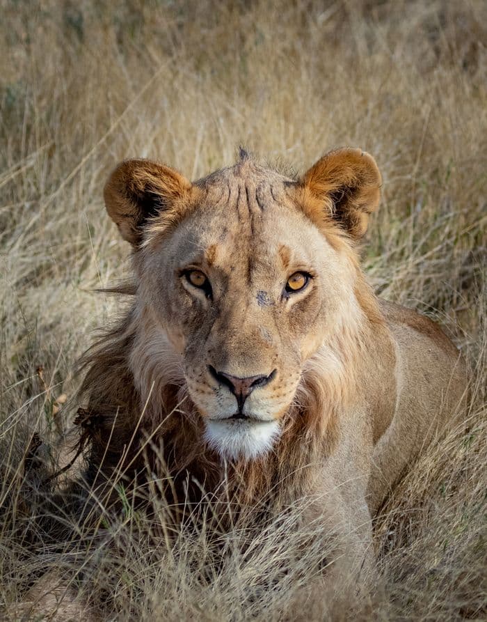 Etosha National Park Namibia