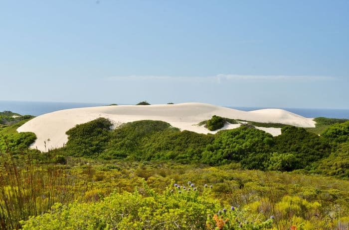 De Hoop Nature Reserve