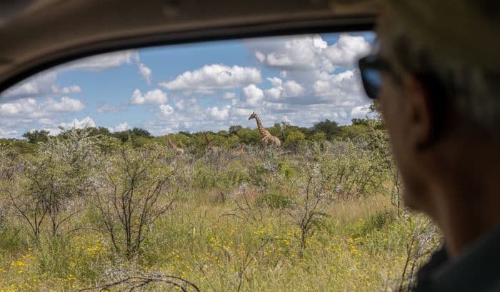 Etosha National Park