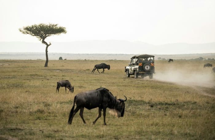 kenya tanzania xktz  4 safari