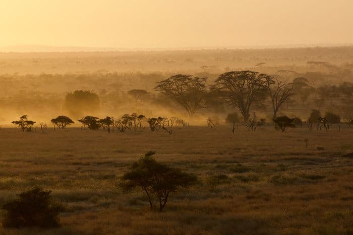 Serengeti Tanzania