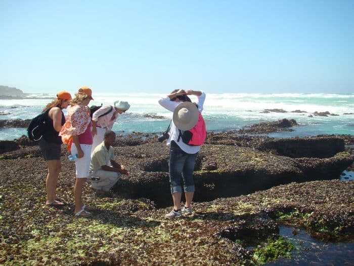 Marine Walk De Hoop Nature Reserve