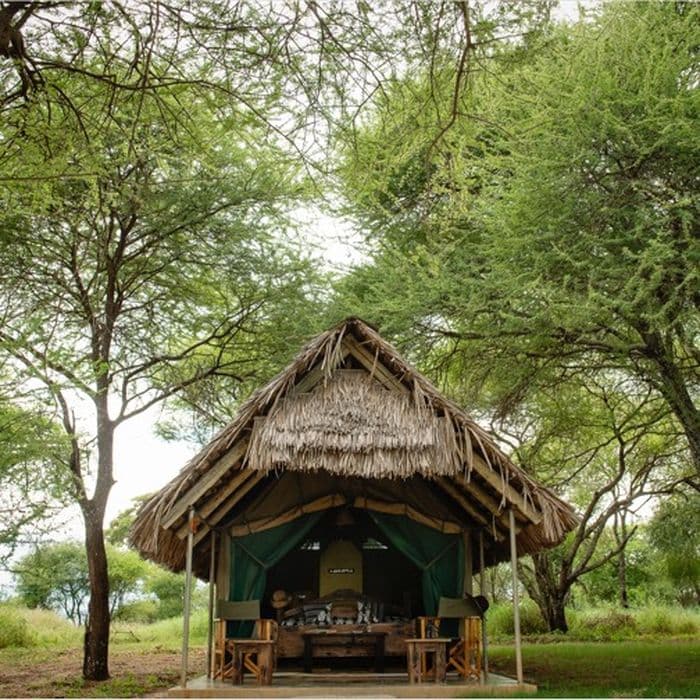 Tarangire Safari Lodge