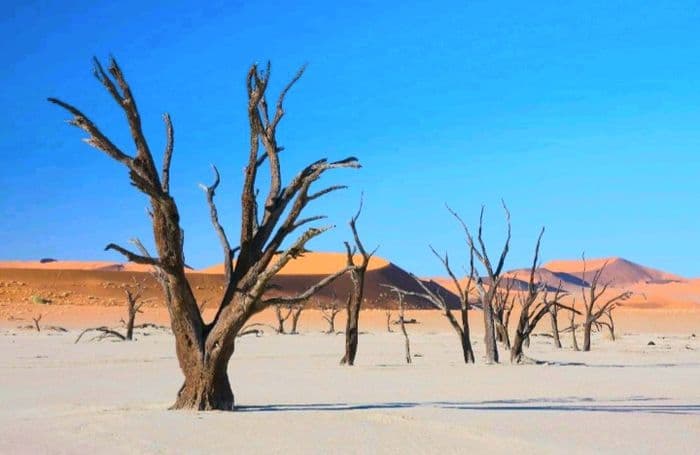 Deadvlei